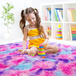 Sinjin Shag Area Rug in Colorful